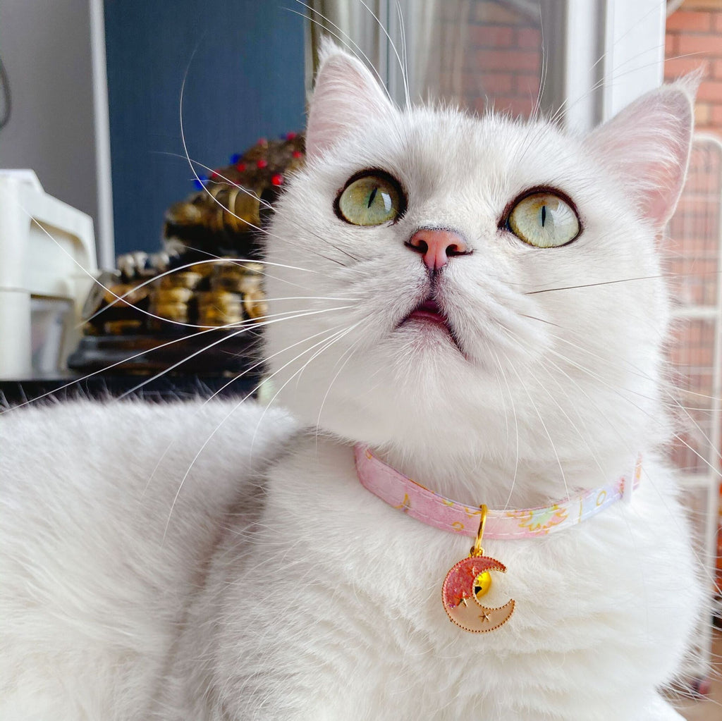 Cute Cat Collars with Moon Pendant Adjustable Safety Kitten Collar