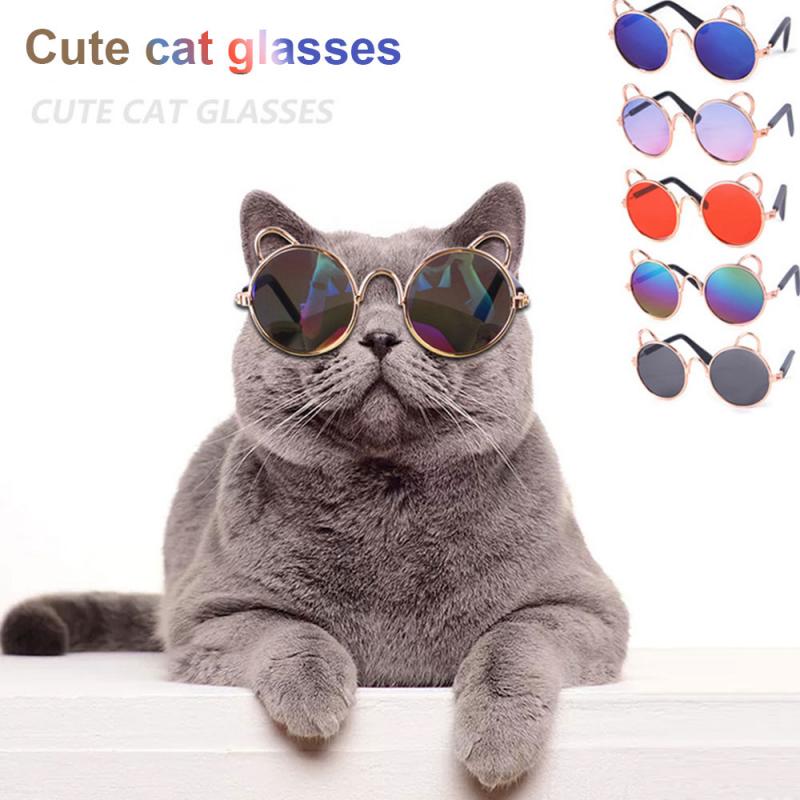 Cat Cute Sunglasses & Dog Teddy Sunglasses