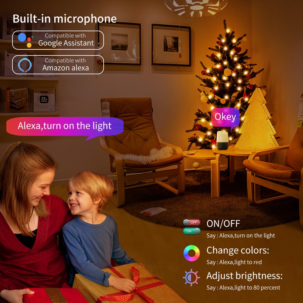 Fairy  RGB Light String Remote Control Home Christmas